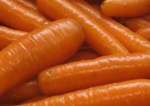 porkkana valkosen muktaporkkana paunolan tila lähiruokaa