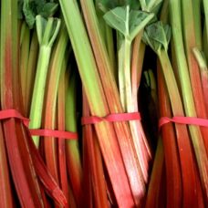 raparperi paunolan tila