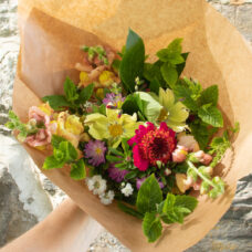 leikkokukka kukka paunolan tila riitamaan tila