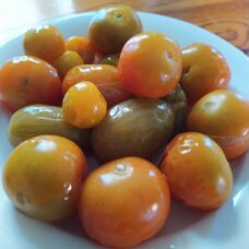 Tomaatit, valmistettu maitohappobakteerin avulla 700 g Wairik Paunolan tila muna-auto