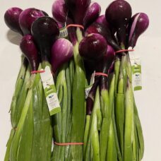 punasipuli paunolan tila saatavana muna-autosta